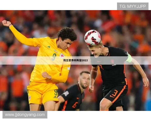 2014年荷兰队足球明星阵容回顾及其在世界杯上的精彩表现分析